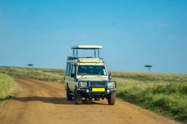 african-safari-jeep