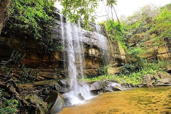 shimba-hills-coast